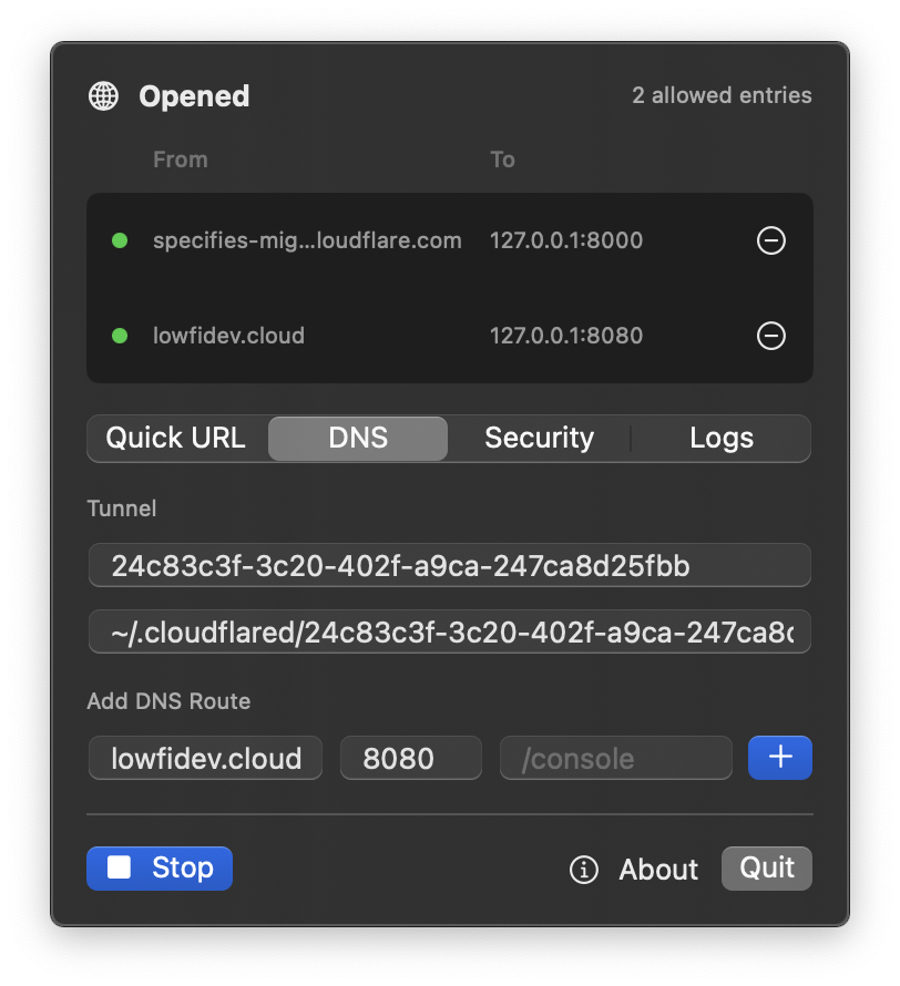 DNS route screenshot